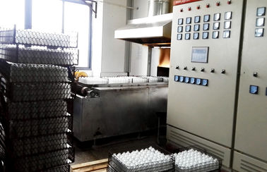 Ingrani il forno industriale elettrico della cinghia 380V per vetro di tempera