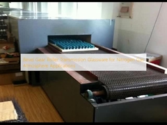 Prodotti in vetro con trasmissione a rullo a guinzaglio per applicazioni nell'atmosfera a gas di azoto