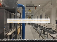 Forno a rulli a controllo di temperatura preciso a funzionamento continuo